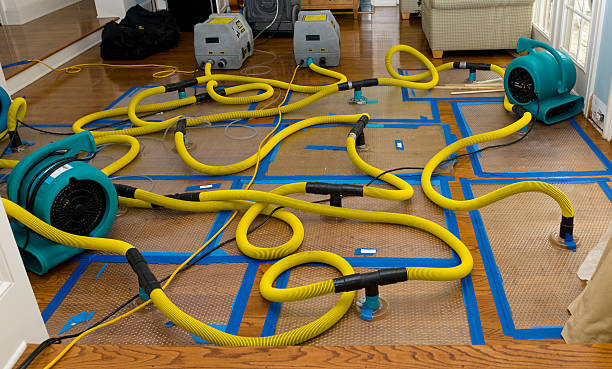 Professional Crawl Space Water Removal technician working in Ossipee, NH